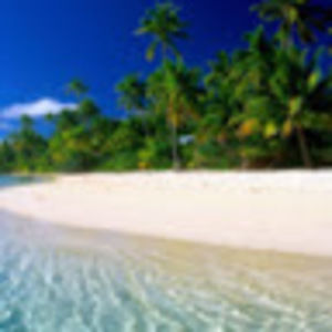 Meet your Posher, Bright